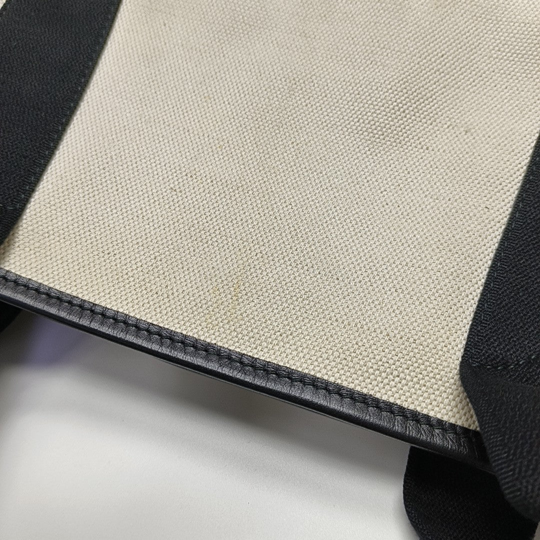 Navy Mini Canvas White