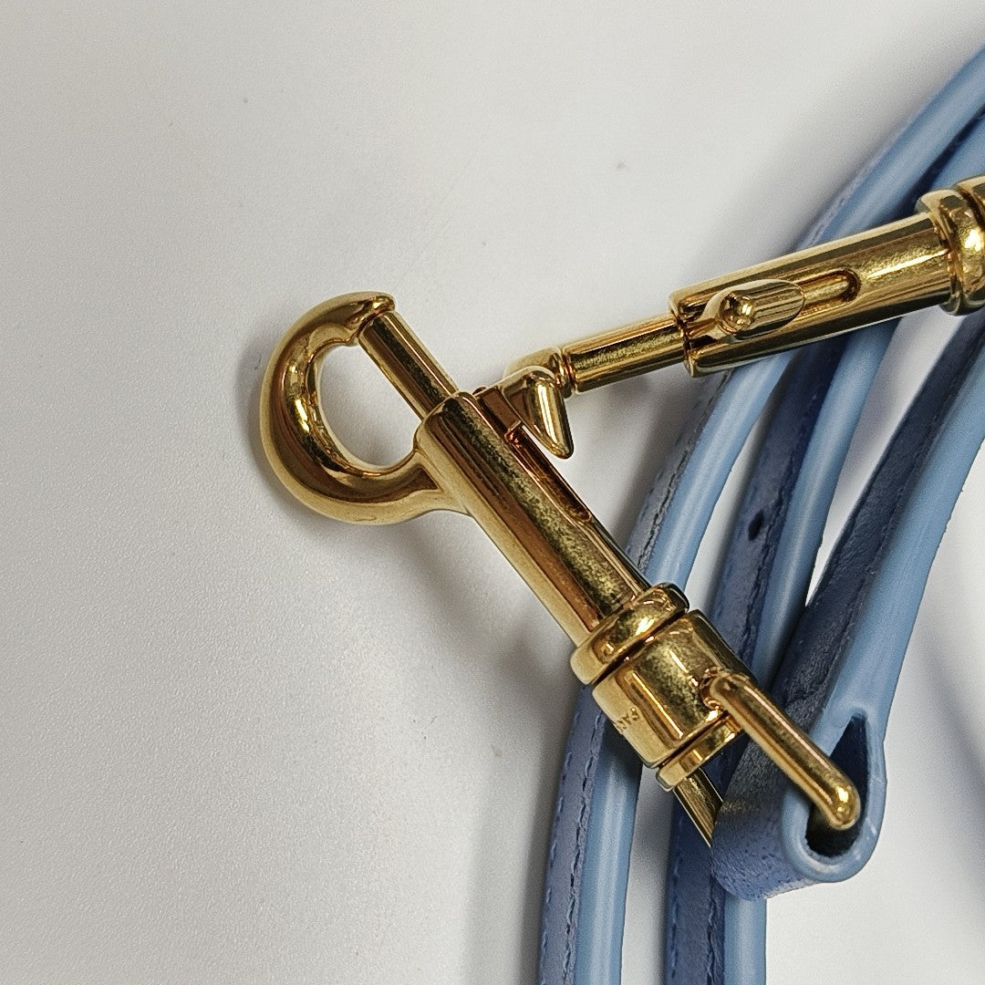 TRIOMPHE Mini Calfskin Blue