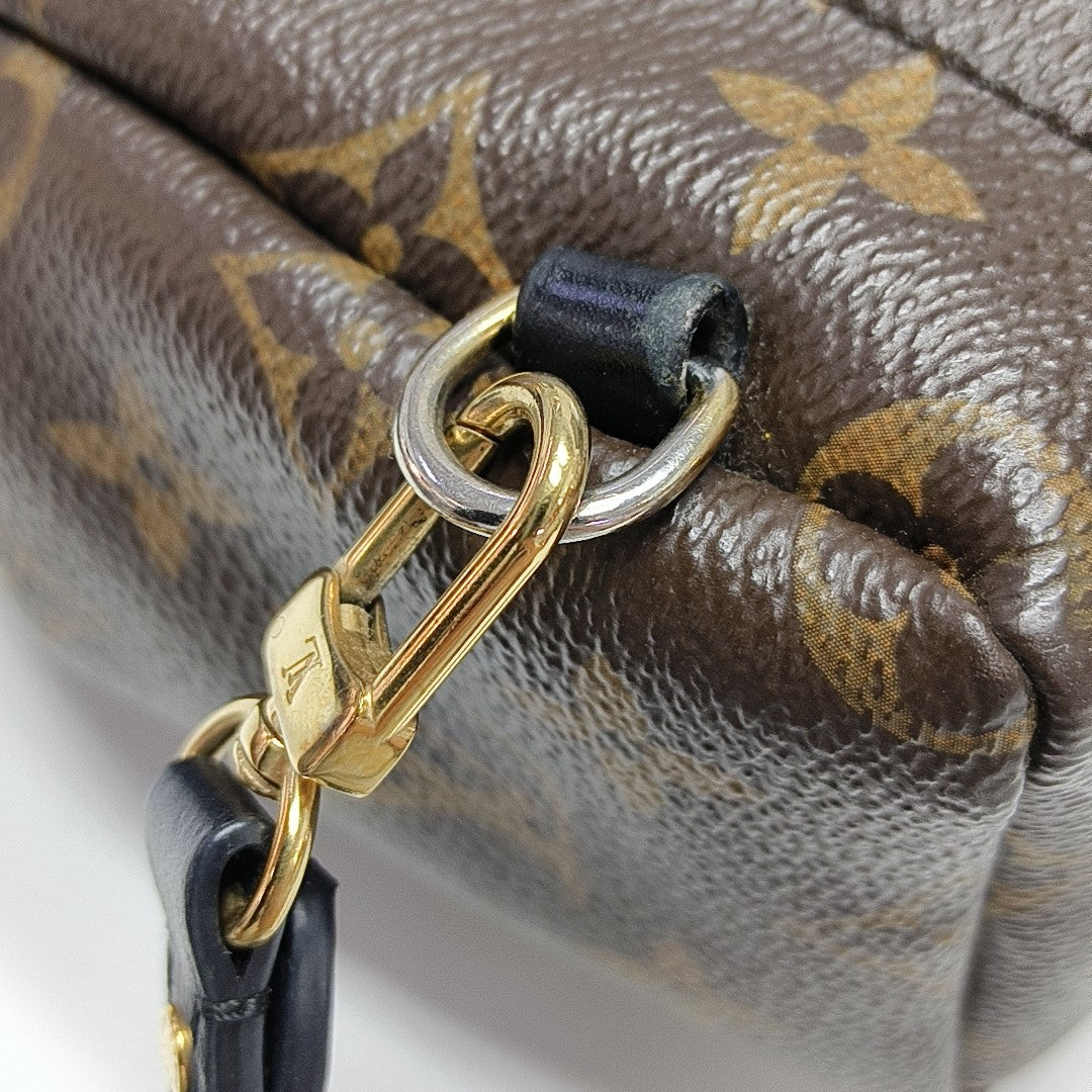 PALM SPRINGS Mini Monogram Coated Canvas Brown