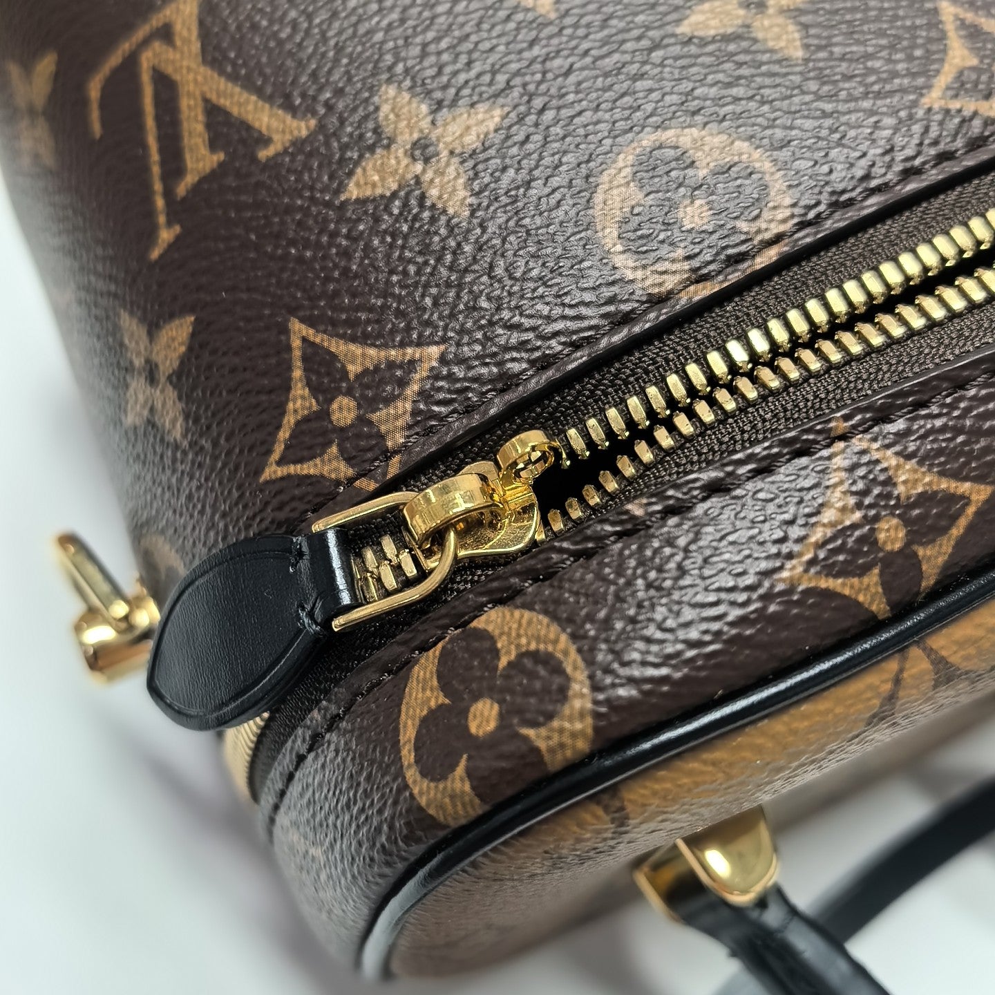 VANITY PM Monogram Coated Canvas Brown