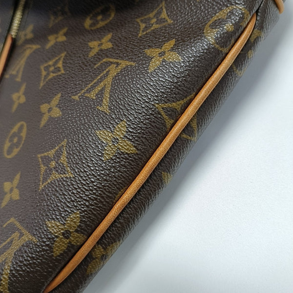 DELIGHTFUL Monogram Coated Canvas Brown