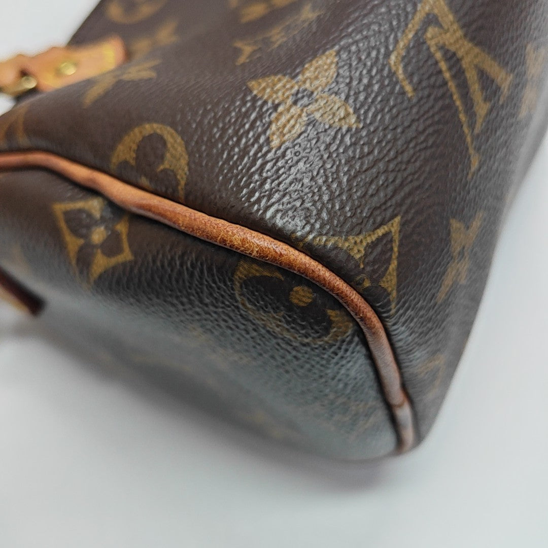SPEEDY Nano Monogram Coated Canvas Brown