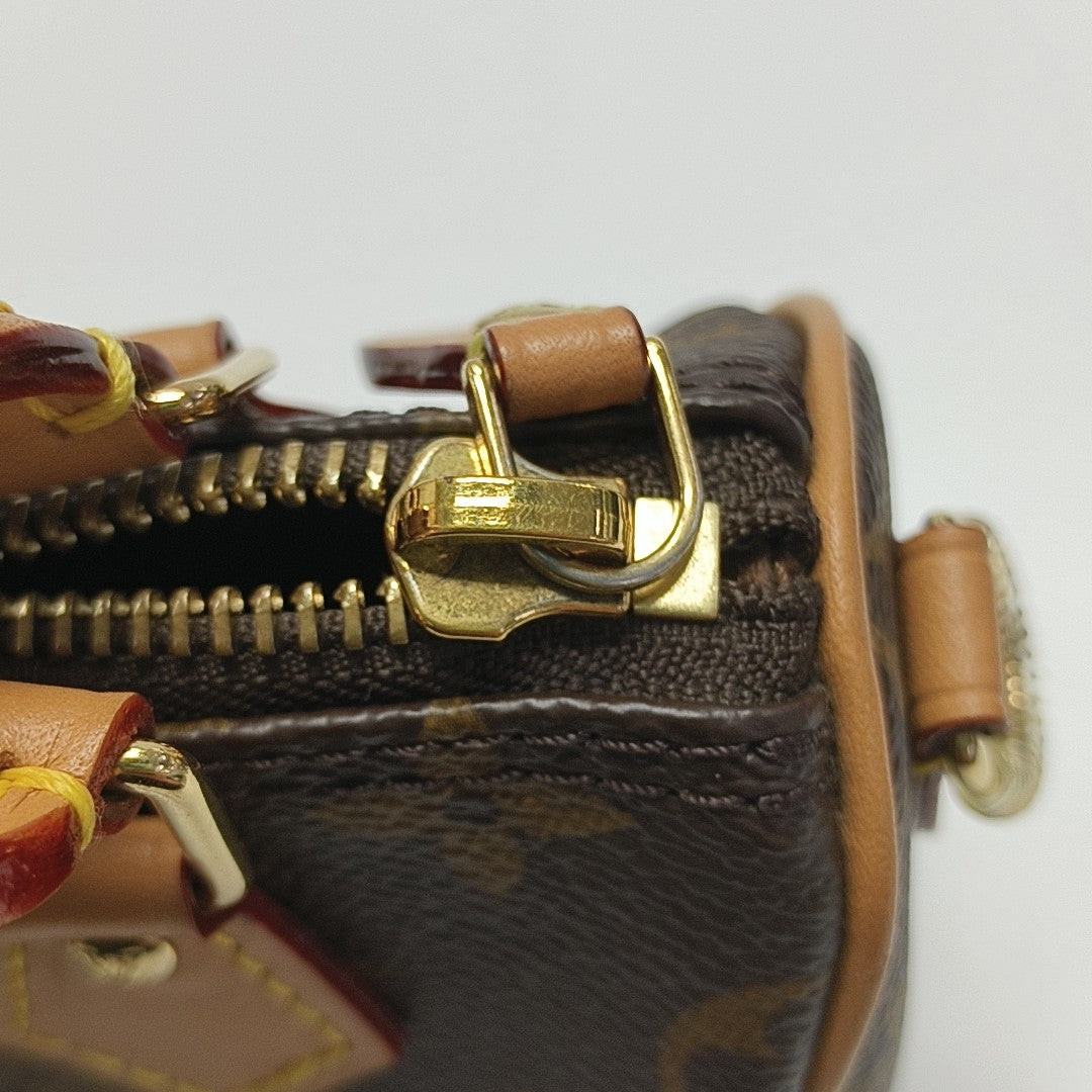 SPEEDY Nano Monogram Coated Canvas Brown