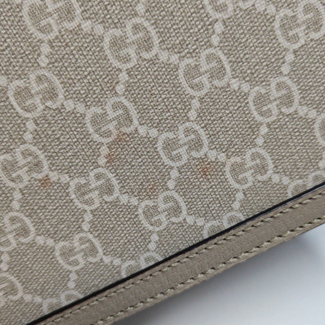 Dionysus Mini Monogram Coated Canvas Beige