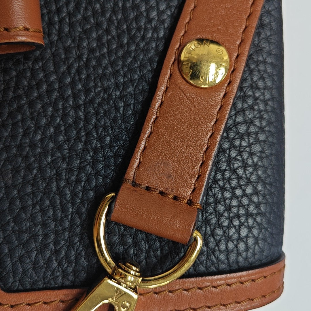 DAUPHINE Mini Calfskin Multicolor