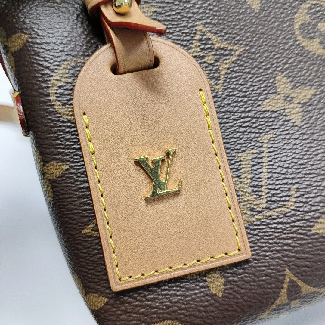 CARRYALL BB Monogram Coated Canvas Brown