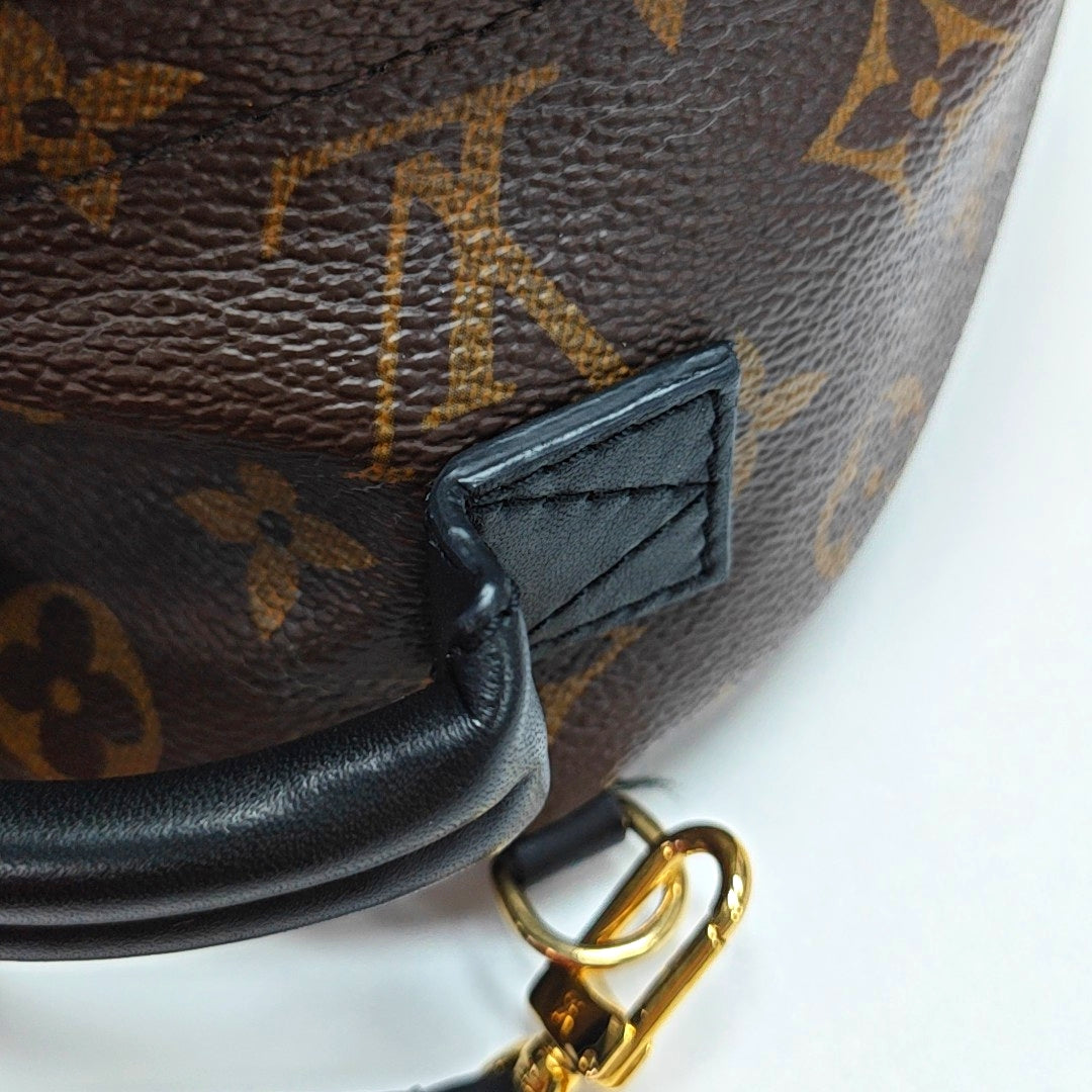 Authenticated pre-owned  PALM SPRINGS Mini Monogram Coated Canvas Brown - Backpack at Looply
