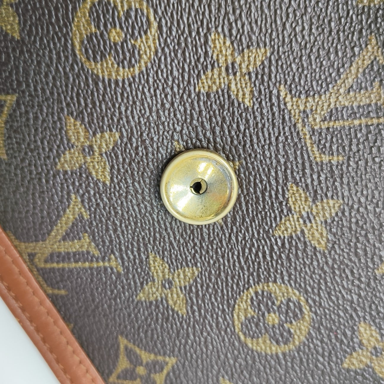 DAME Monogram Coated Canvas Brown