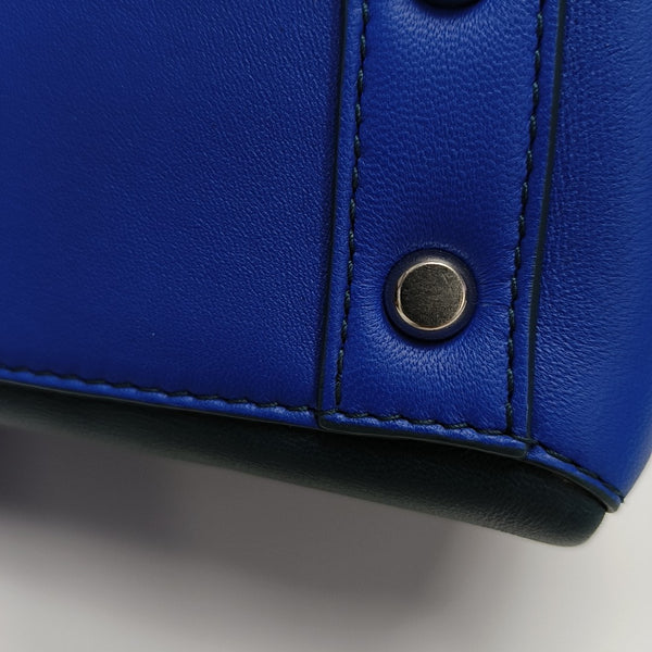 Calfskin Multicolor
