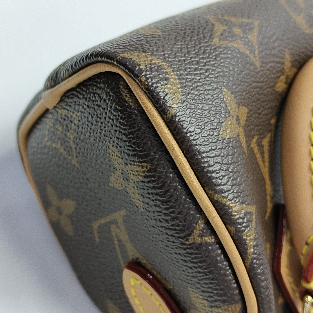 SPEEDY Nano Monogram Coated Canvas Brown