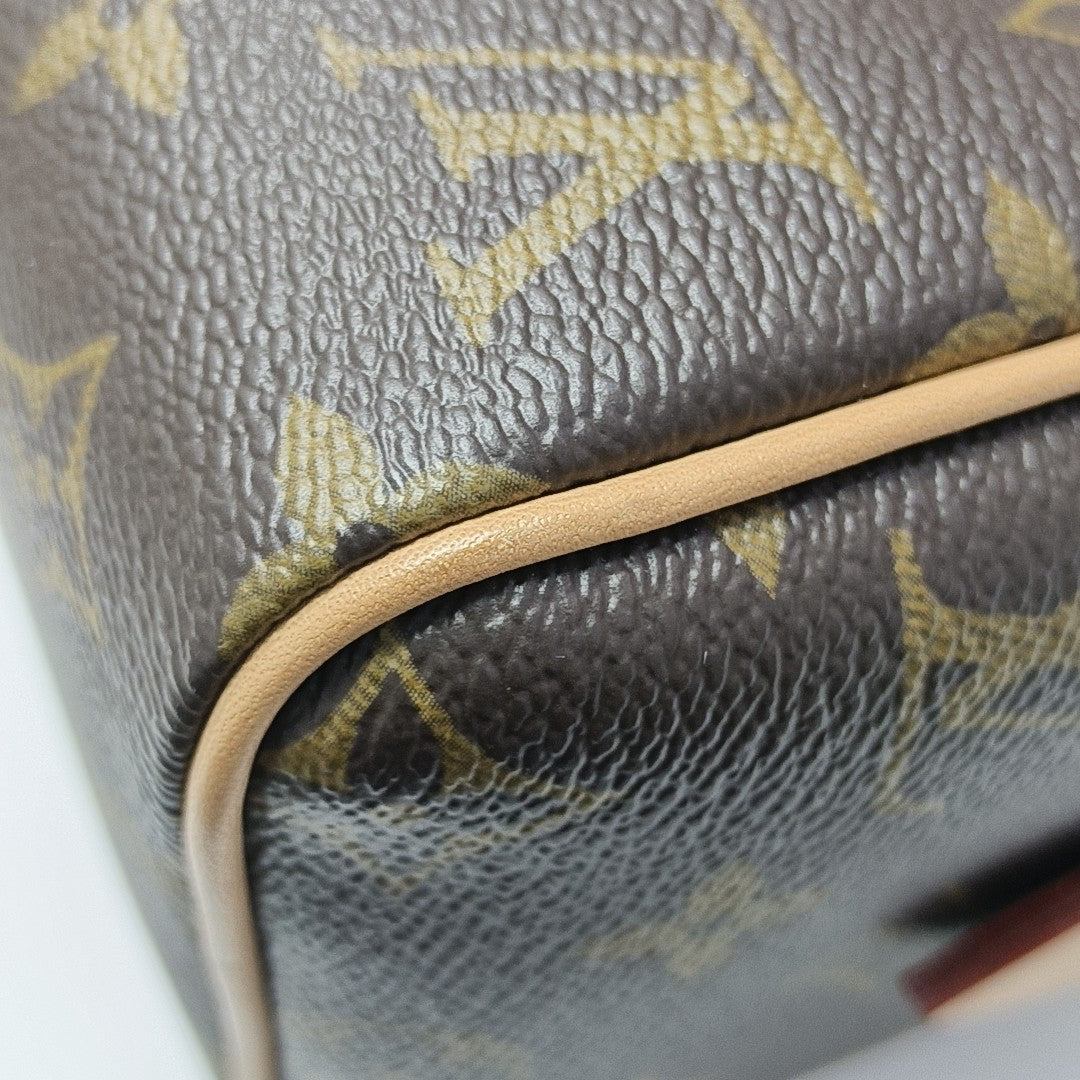 SPEEDY 20 Monogram Coated Canvas Brown