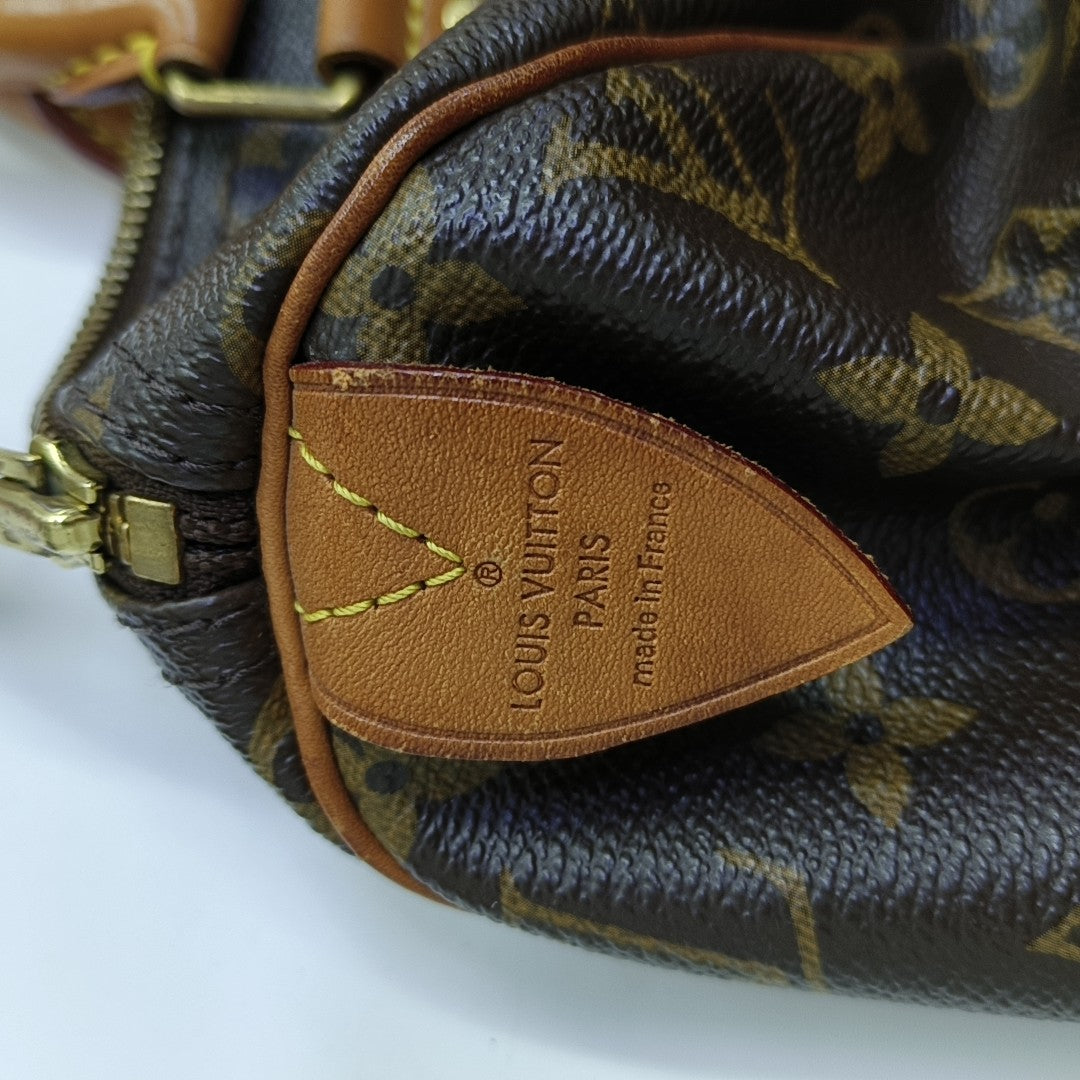 SPEEDY 30 Monogram Coated Canvas Brown