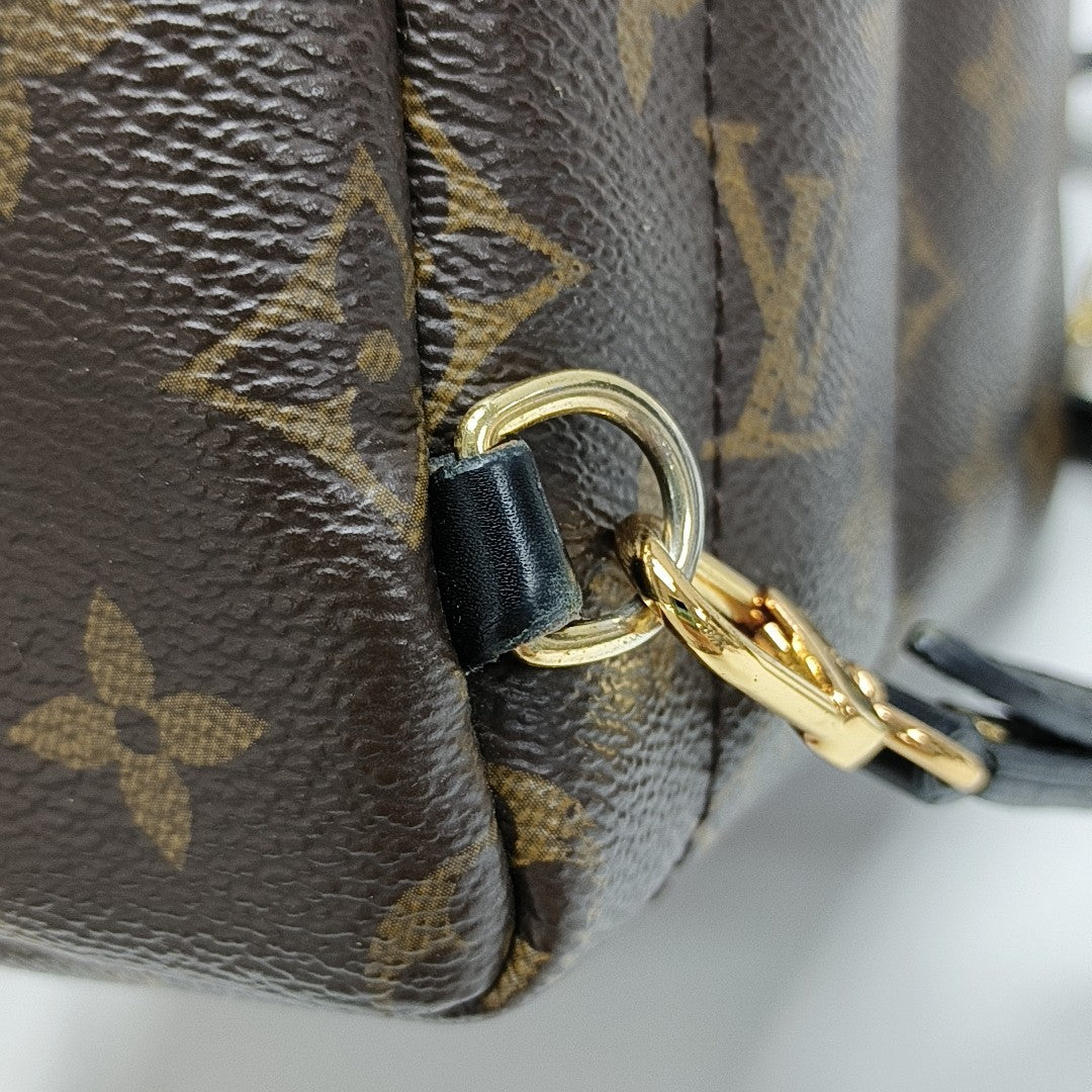PALM SPRINGS Mini Monogram Coated Canvas Brown