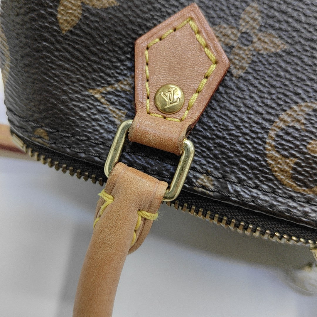 SPEEDY Nano Monogram Coated Canvas Brown