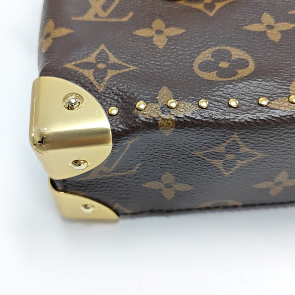 CAMERA BOX Monogram Coated Canvas Brown