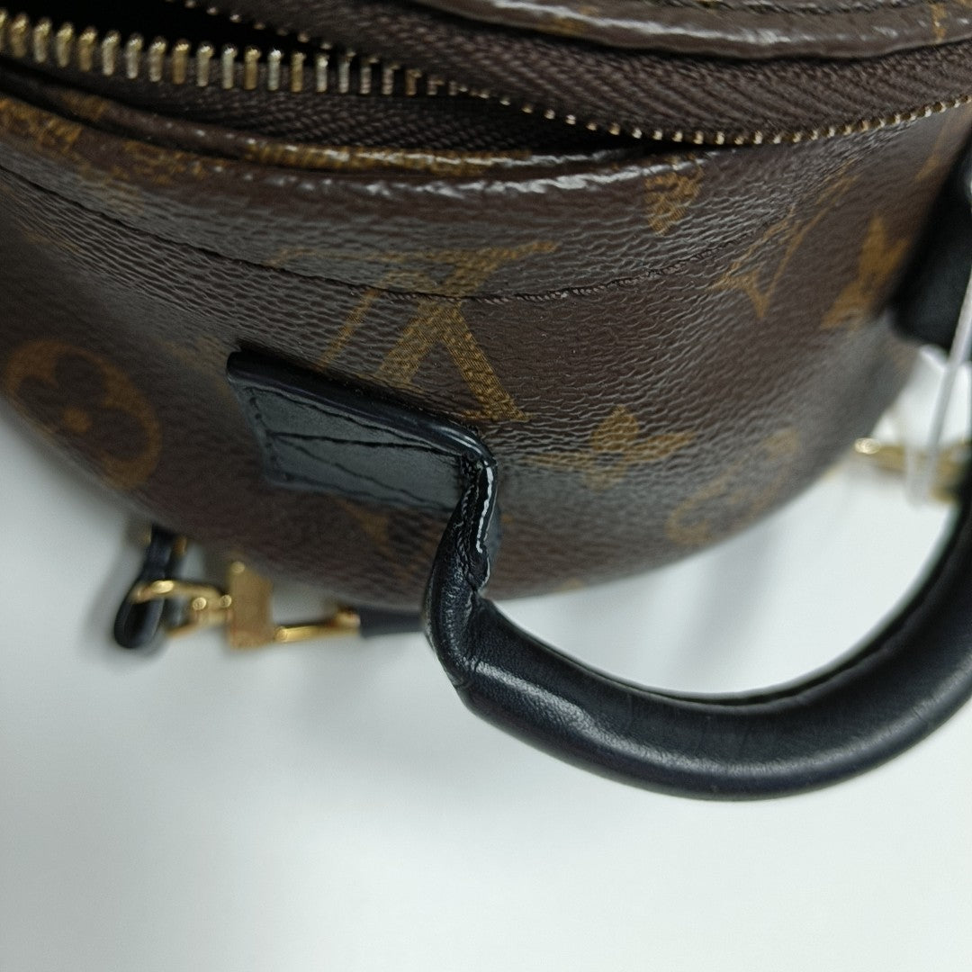 PALM SPRINGS Mini Monogram Coated Canvas Brown