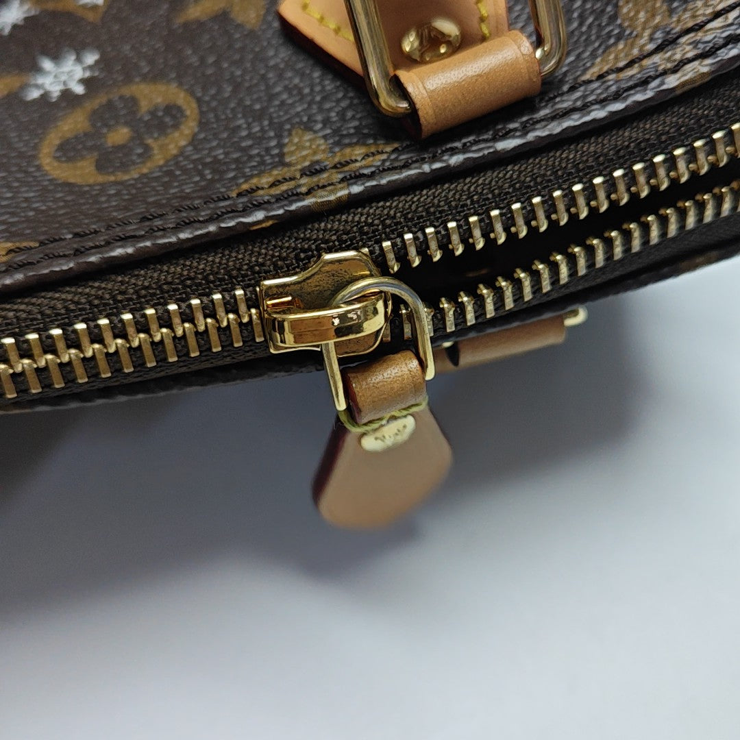 SPEEDY Nano Monogram lona revestida marrón