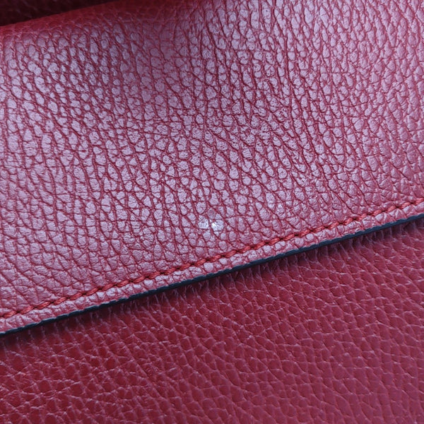 Dionysus Medium Calfskin Red