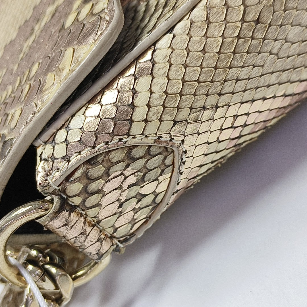 DIVAS' DREAM Python Multicolor