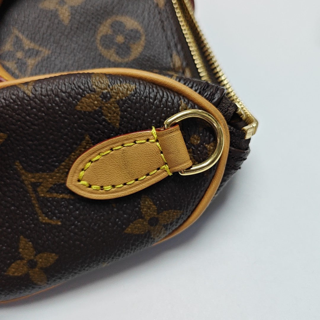 SPEEDY Nano Monogram Coated Canvas Brown