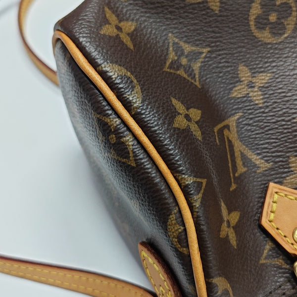 SPEEDY Nano Monogram Coated Canvas Brown