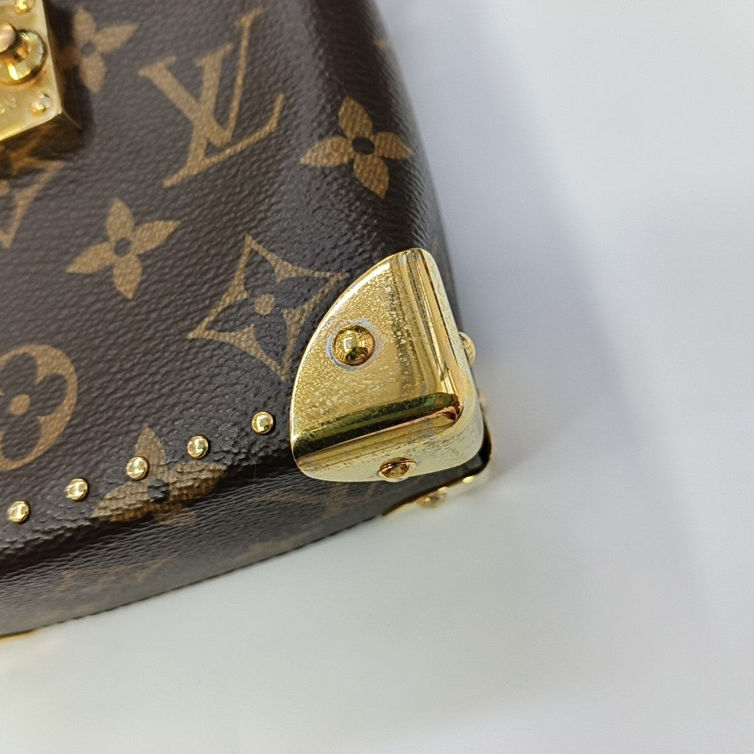 CAMERA BOX Monogram Coated Canvas Brown