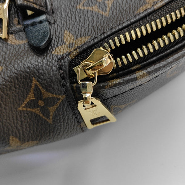 PALM SPRINGS PM Monogram Coated Canvas Brown