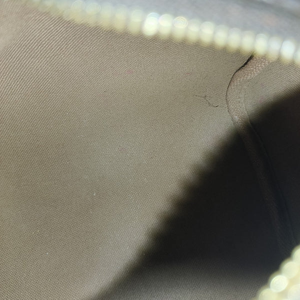 SPEEDY Nano Monogram Coated Canvas Brown