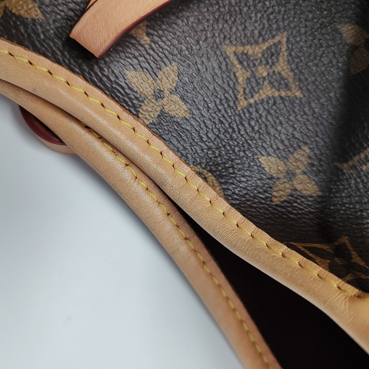 CARRYALL PM Monogram Coated Canvas Brown