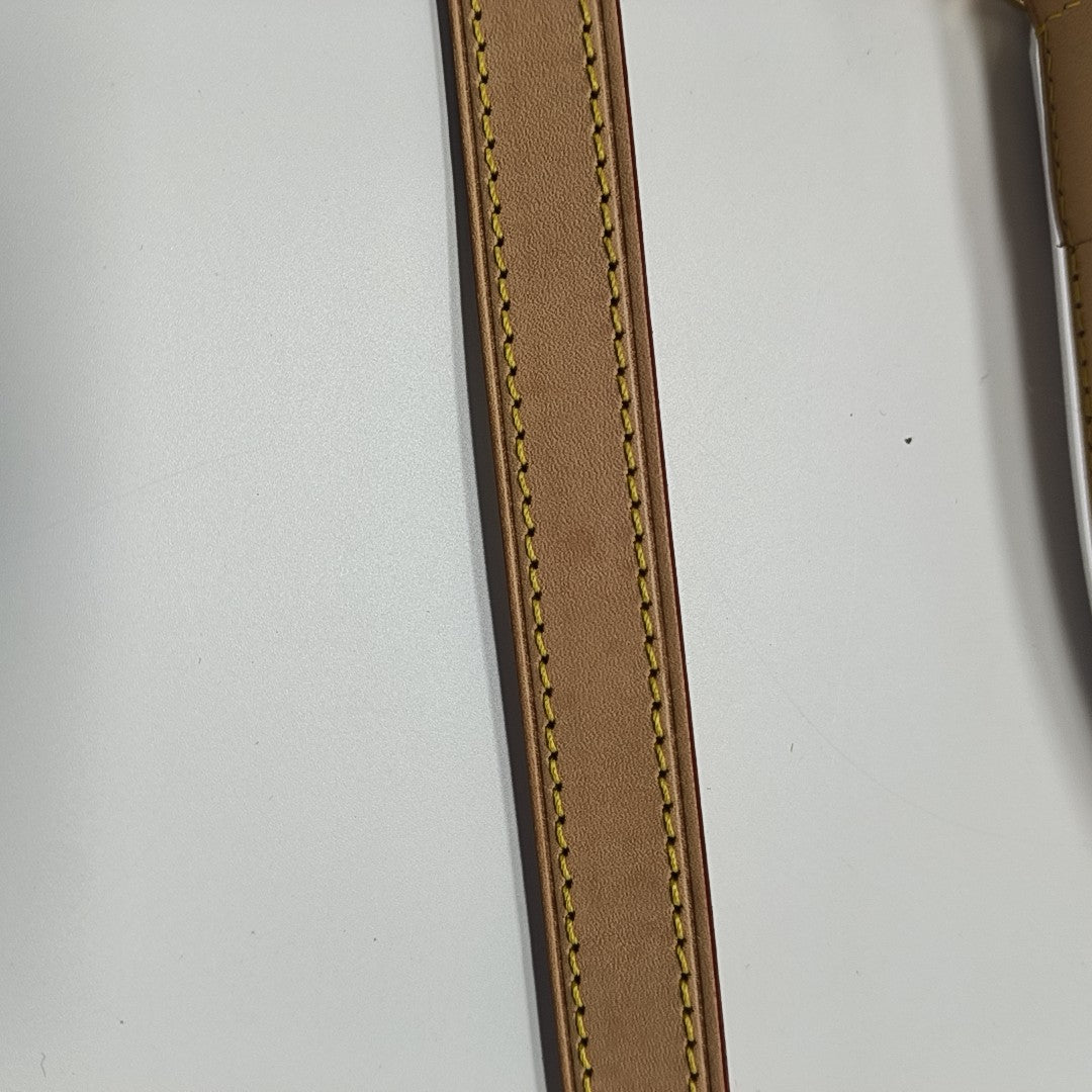 SPEEDY 25 Monogram Coated Canvas Brown