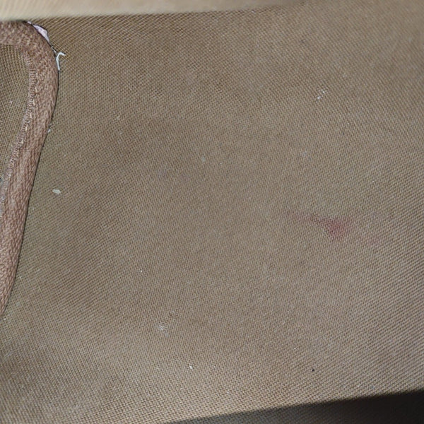 SPEEDY Nano Monogram Coated Canvas Brown