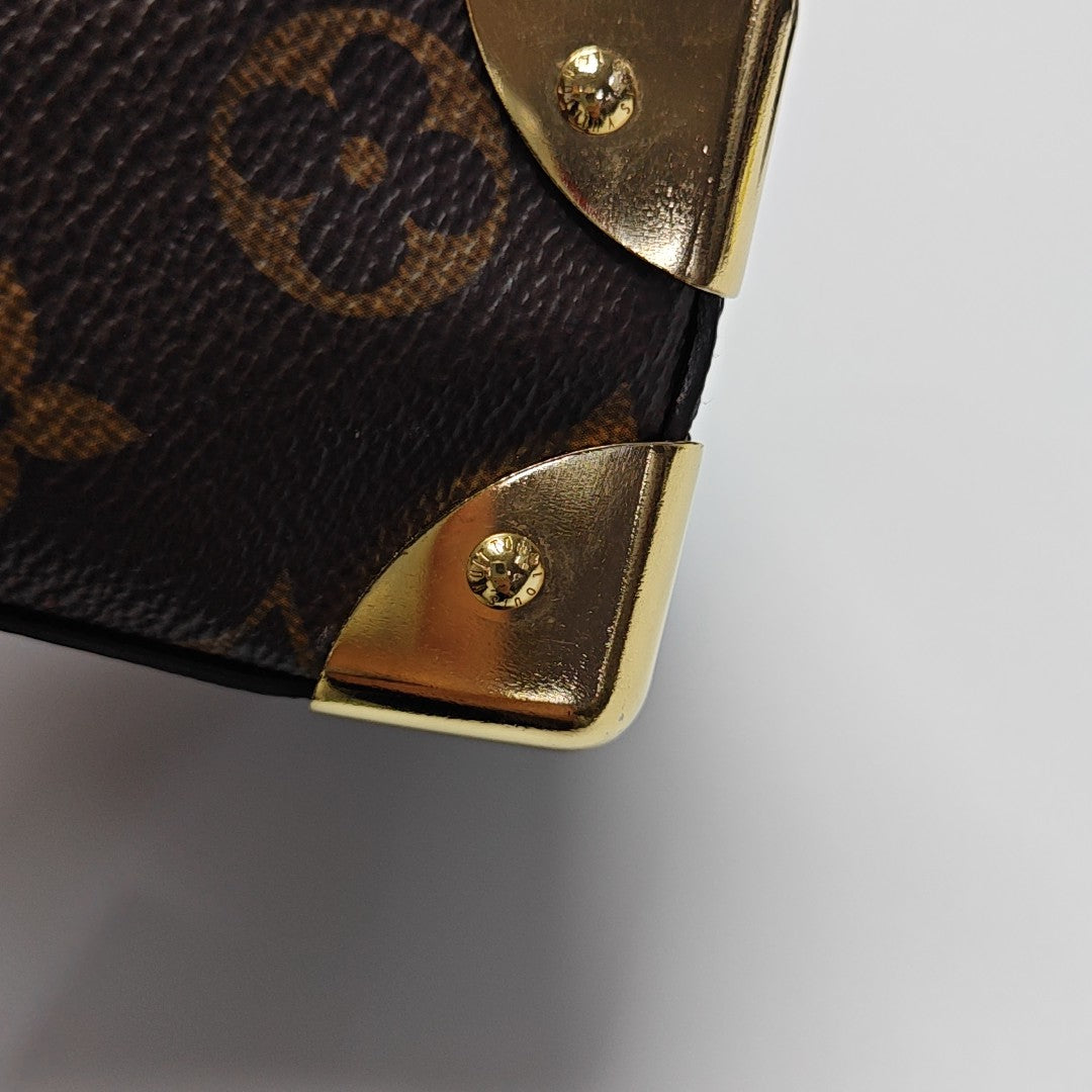 CAMERA BOX Monogram Coated Canvas Brown
