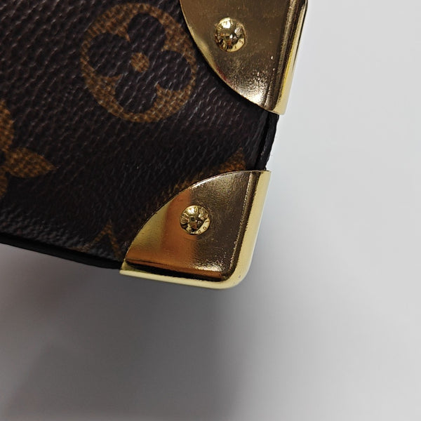 CAMERA BOX Monogram Coated Canvas Brown
