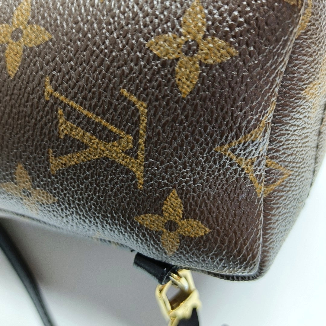 Authenticated pre-owned  PALM SPRINGS Mini Monogram Coated Canvas Brown - Backpack at Looply