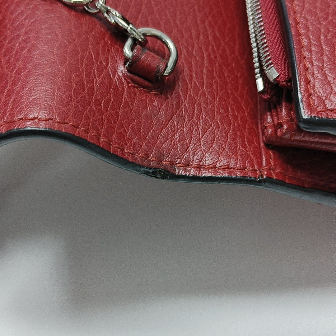 Dionysus Mini Calfskin Red