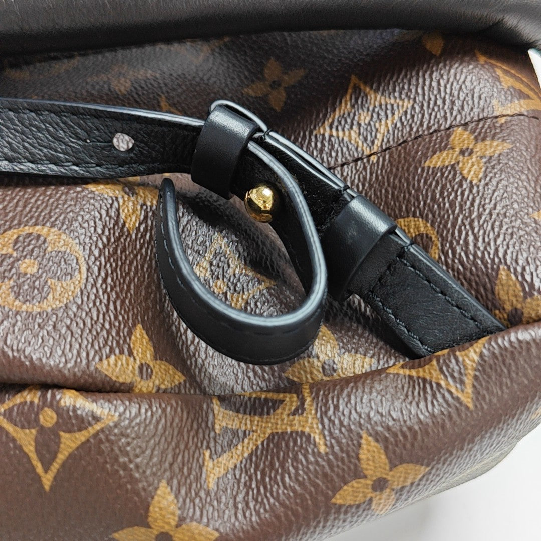 PALM SPRINGS PM Monogram Coated Canvas Brown