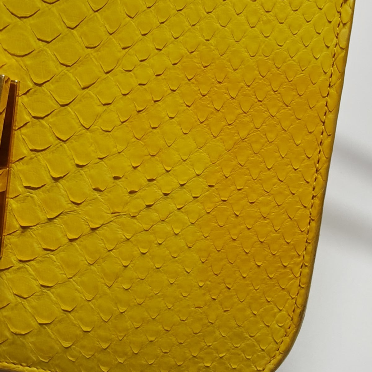 CLASSIC BOX Medium Python Yellow