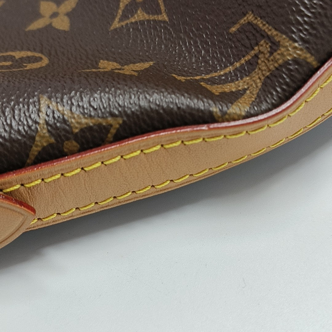 CARRYALL PM Monogram Coated Canvas Brown