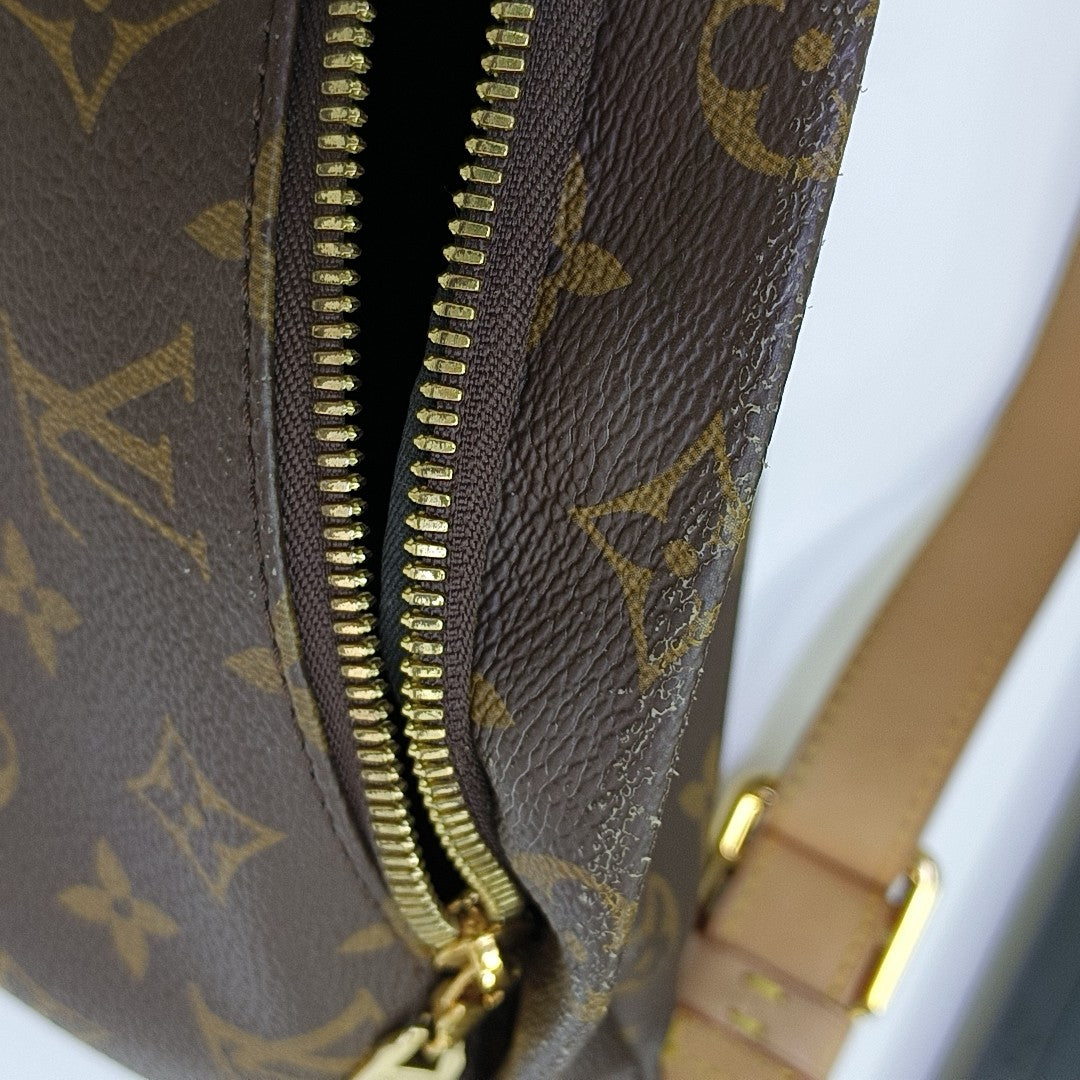 BUMBAG Monogram Coated Canvas Brown