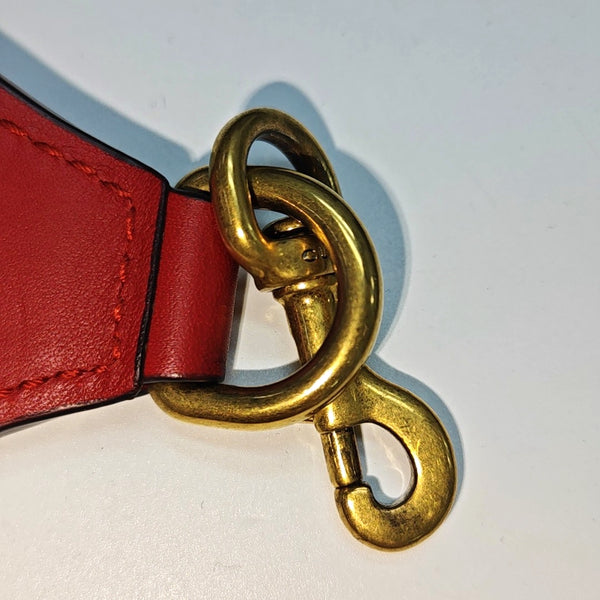 Dionysus Medium Calfskin Red