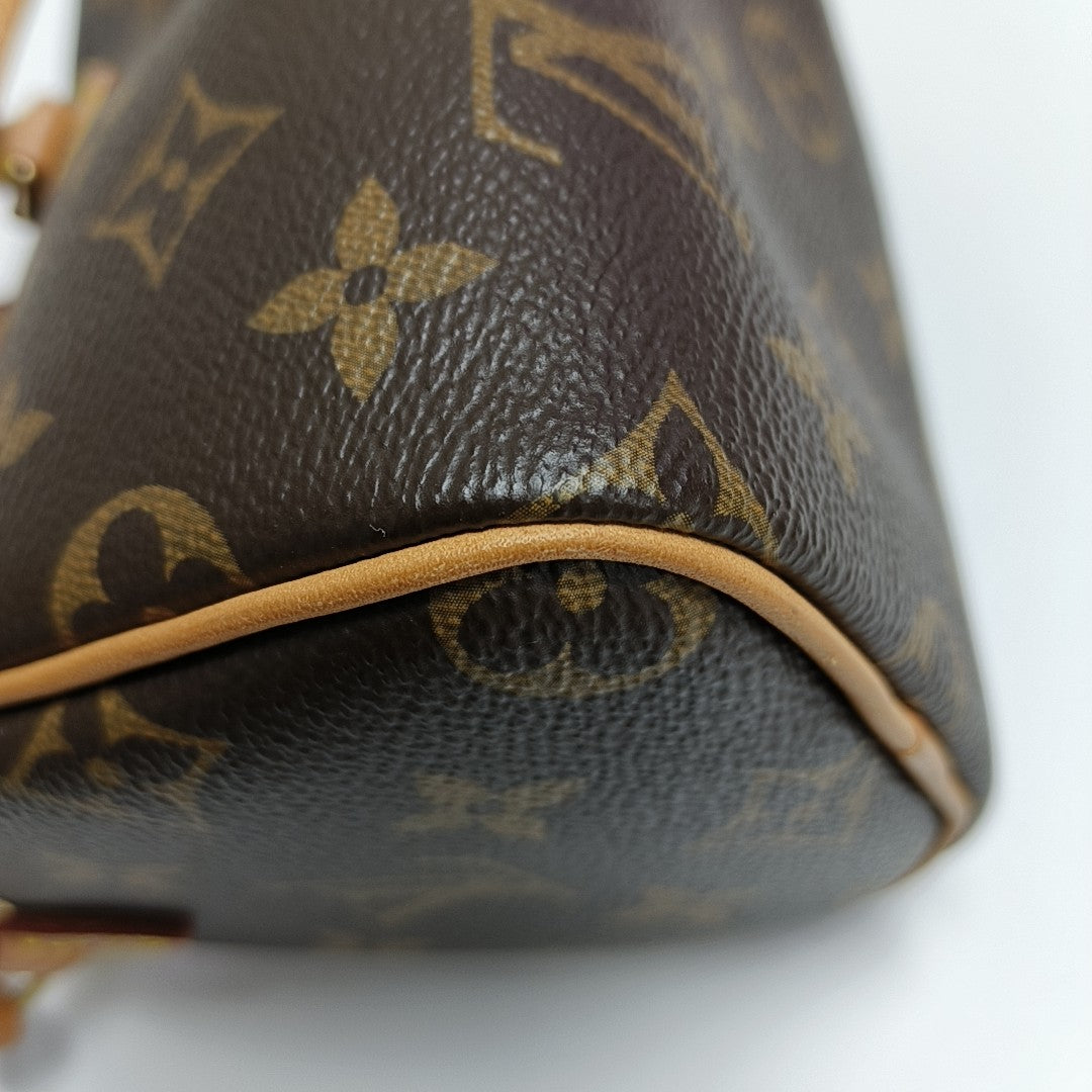 SPEEDY Nano Monogram Coated Canvas Brown