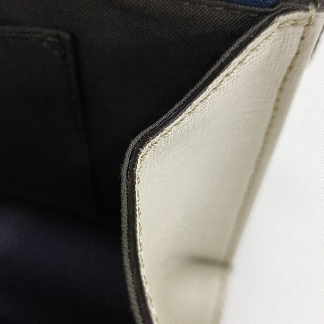 Demi Jour Calfskin Multicolor