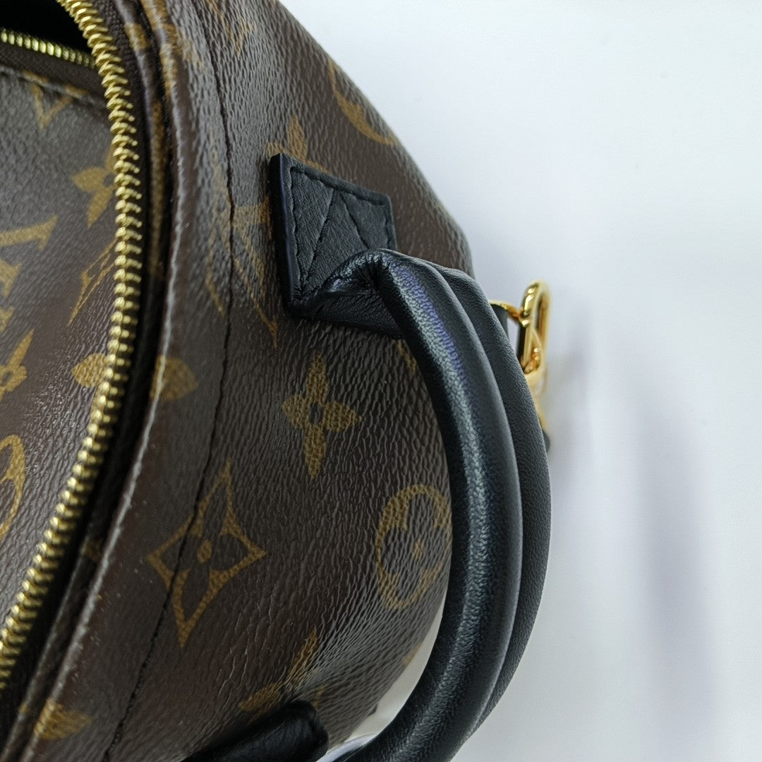 PALM SPRINGS Mini Monogram Coated Canvas Brown