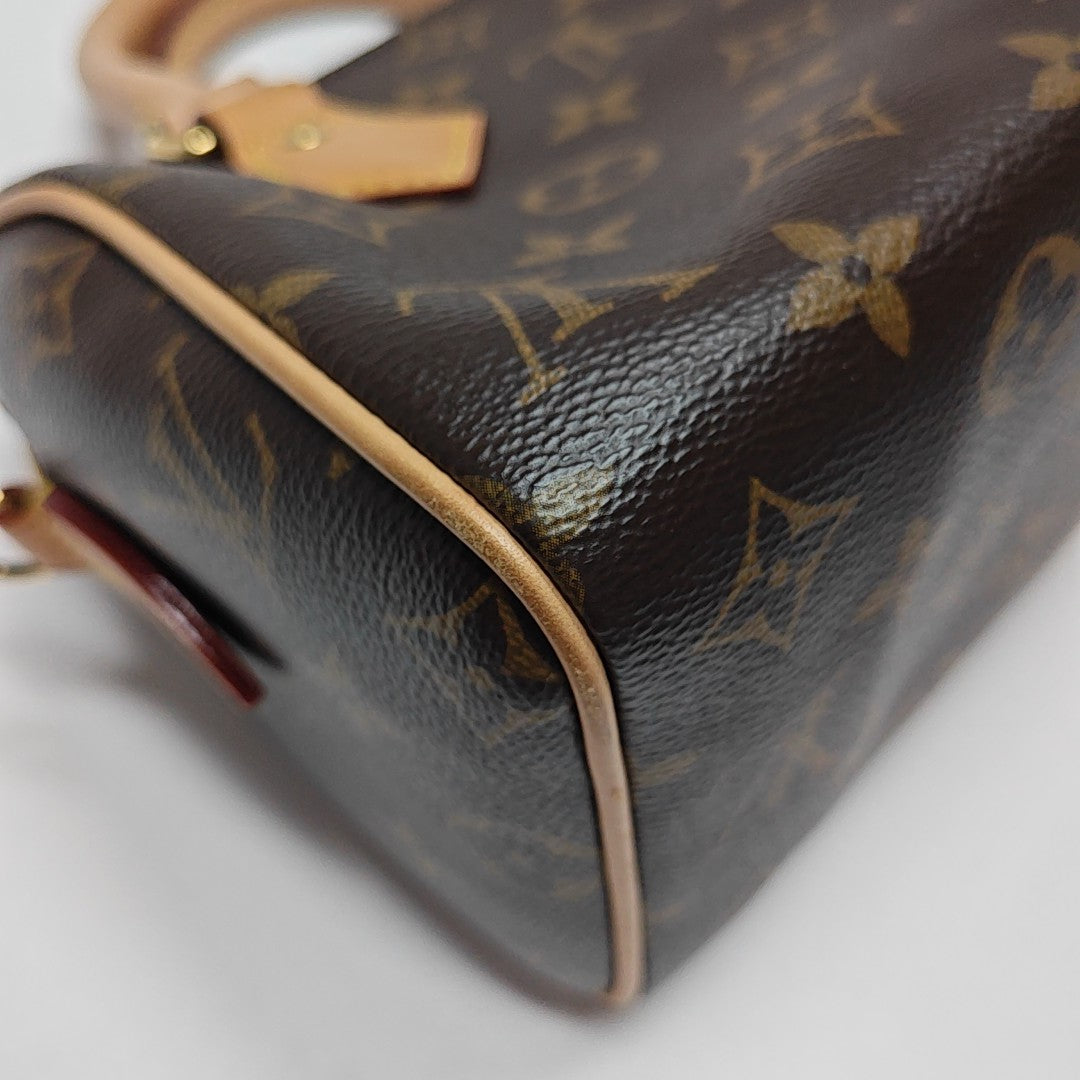 SPEEDY 20 Monogram Coated Canvas Brown