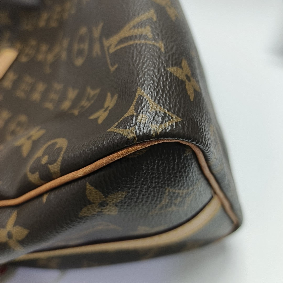 SPEEDY 25 Monogram Coated Canvas Brown
