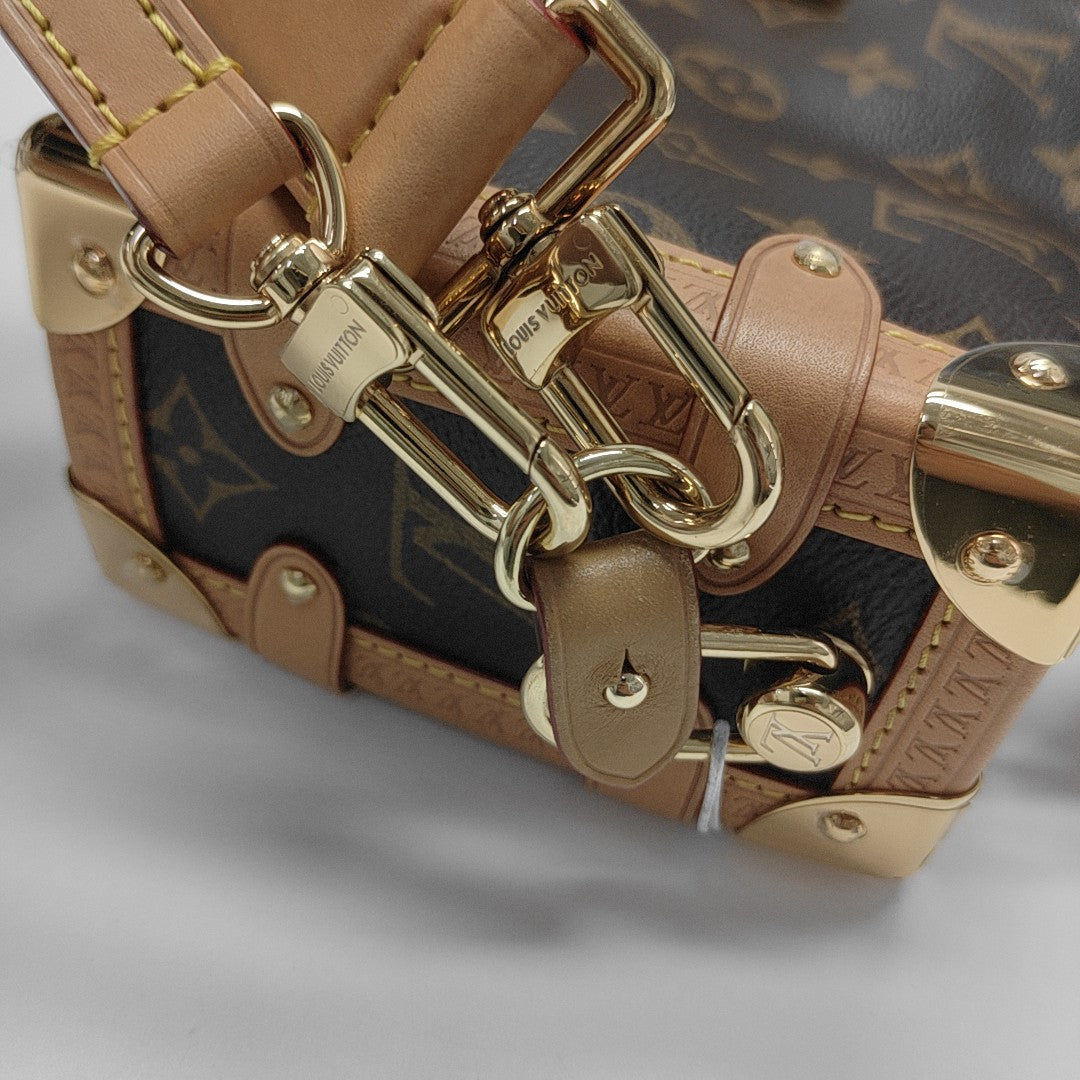SIDE TRUNK PM Monogram Coated Canvas Brown