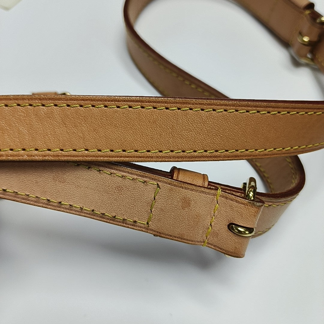 SPEEDY 25 Monogram Coated Canvas Brown