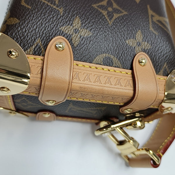 SIDE TRUNK PM Monogram Coated Canvas Brown