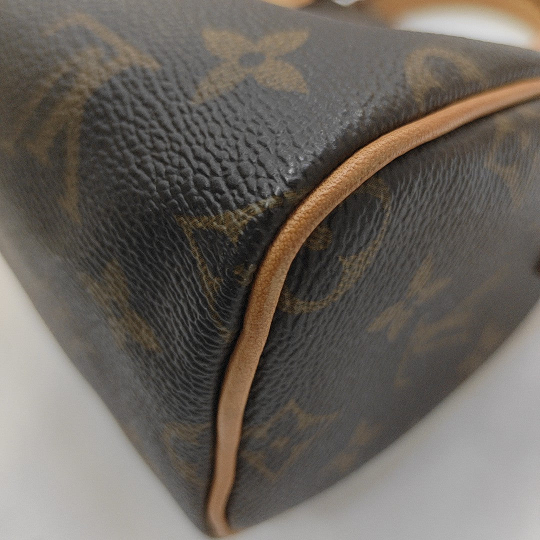 SPEEDY Nano Monogram Coated Canvas Brown
