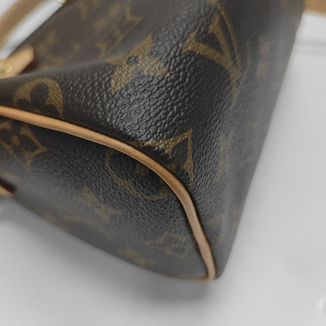 SPEEDY Nano Monogram Coated Canvas Brown